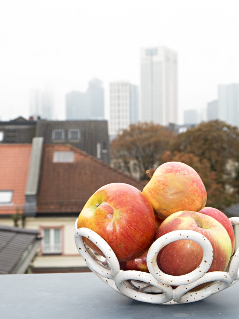 rote Äpfel in Obstschale vor Skyline