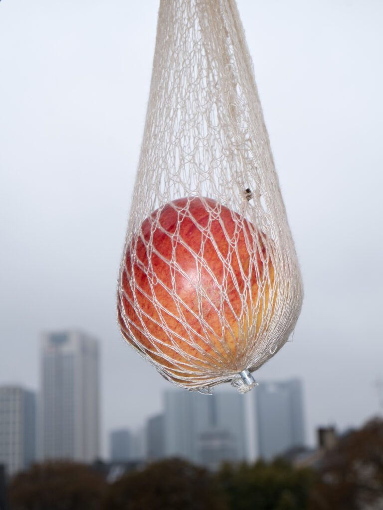 Roter Apfel hängt im Einkaufsnetz vor Frankfurter Skyline