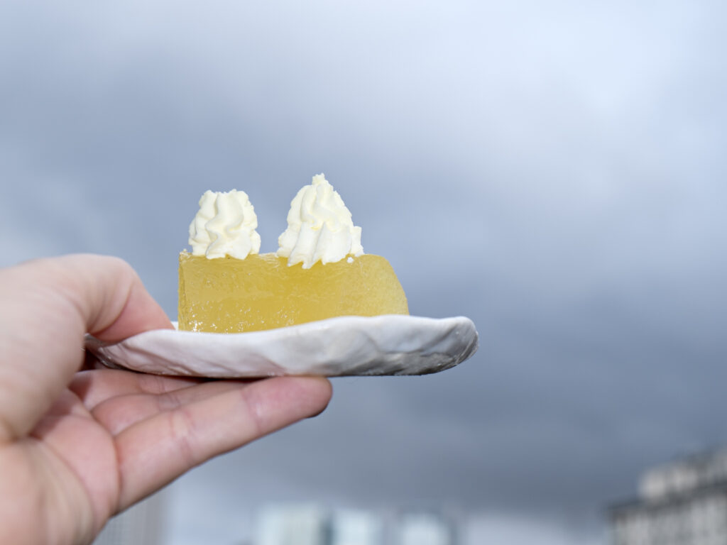 Eine Portion Kalte Apfelspeise mit Feigenblattlikör-Schlagsahne vor grauem Himmel